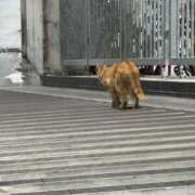 ヒメ日記 2025/08/14 02:10 投稿 えるも オレンジハウス