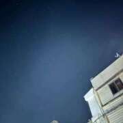 ヒメ日記 2025/11/03 02:50 投稿 えるも オレンジハウス