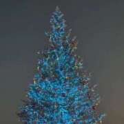 ヒメ日記 2025/12/30 21:50 投稿 えるも オレンジハウス