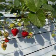 ヒメ日記 2026/03/18 01:40 投稿 えるも オレンジハウス