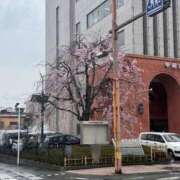 ヒメ日記 2026/04/01 21:50 投稿 えるも オレンジハウス