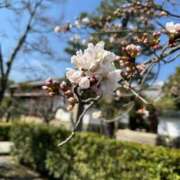 ヒメ日記 2026/04/07 01:50 投稿 えるも オレンジハウス