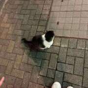 ヒメ日記 2025/11/05 23:20 投稿 みんと オレンジハウス