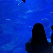 ヒメ日記 2025/12/30 23:11 投稿 みんと オレンジハウス