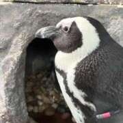 ヒメ日記 2026/01/03 01:00 投稿 みんと オレンジハウス