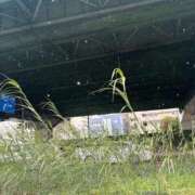 ヒメ日記 2026/02/02 21:20 投稿 みんと オレンジハウス