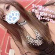 ヒメ日記 2025/09/26 10:30 投稿 すずな オレンジハウス