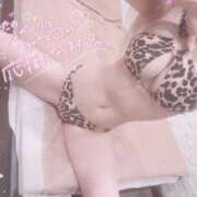 ヒメ日記 2025/09/29 11:20 投稿 すずな オレンジハウス