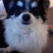 ヒメ日記 2025/11/05 14:10 投稿 みずき オレンジハウス