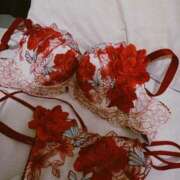 ヒメ日記 2025/12/30 02:55 投稿 みずき オレンジハウス