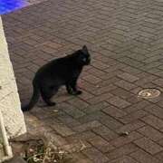 ヒメ日記 2026/03/26 20:24 投稿 みずき オレンジハウス