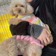 みずき 3日間🙏🏻💞 オレンジハウス