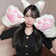 ヒメ日記 2025/09/24 20:24 投稿 のあ オレンジハウス