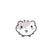 ヒメ日記 2026/10/08 12:21 投稿 きらり オレンジハウス