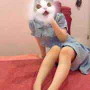 ヒメ日記 2025/12/27 14:20 投稿 さと オレンジハウス