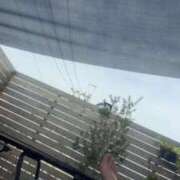 ヒメ日記 2026/07/27 10:32 投稿 えれん オレンジハウス