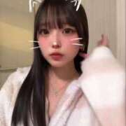 ヒメ日記 2026/01/23 20:50 投稿 ありす オレンジハウス