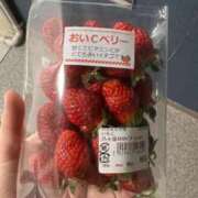 ヒメ日記 2026/03/12 15:55 投稿 ありす オレンジハウス