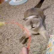 りえ ごめんなさい😭 オレンジハウス