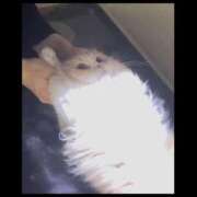 ヒメ日記 2026/07/15 20:40 投稿 りえ オレンジハウス