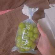 ヒメ日記 2025/09/12 17:28 投稿 はな オレンジハウス