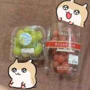 ヒメ日記 2025/09/16 15:01 投稿 はな オレンジハウス