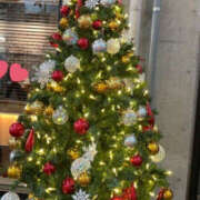 千里 こんばんは千里です😊 TSUBAKI（水戸）