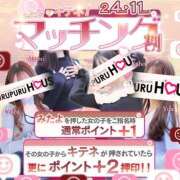 秋山 かほ お知らせ📢( Ö ) プルプルハウス