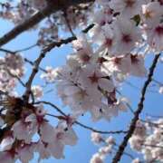 ヒメ日記 2026/04/07 12:31 投稿 みらい 多恋人倶楽部（山口）