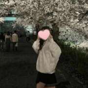 ヒメ日記 2026/02/18 00:50 投稿 みな FAIRY Fukuoka Nakasu