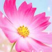 ヒメ日記 2025/09/01 19:22 投稿 北島あや 五十路マダム 郡山店