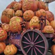 ヒメ日記 2025/10/29 15:29 投稿 水無瀬　みお PLATINA R-30（すすきの）