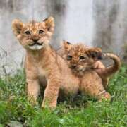 水無瀬　みお 🥹💖 PLATINA R-30（すすきの）