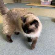 ヒメ日記 2025/08/27 23:34 投稿 あん Beppin house