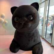 ヒメ日記 2025/09/30 14:30 投稿 あん Beppin house