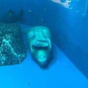 ヒメ日記 2025/10/15 17:21 投稿 あん Beppin house