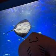 ヒメ日記 2026/06/03 11:21 投稿 あん Beppin house