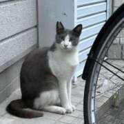 ヒメ日記 2026/07/25 15:30 投稿 あん Beppin house