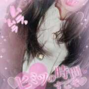 ヒメ日記 2025/10/05 11:28 投稿 うた 京都BOOK MARK（ブックマーク）