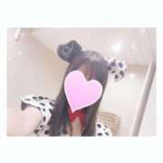 ヒメ日記 2025/10/19 00:31 投稿 ミホ ラブコレクション