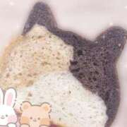 ヒメ日記 2025/11/15 00:31 投稿 ミホ ラブコレクション