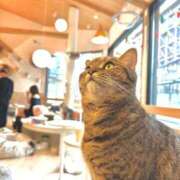 ヒメ日記 2025/12/18 13:46 投稿 うみ 京都デリヘル倶楽部FIRST