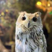 ヒメ日記 2026/01/03 16:41 投稿 うみ 京都デリヘル倶楽部FIRST