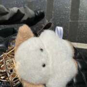 ヒメ日記 2026/03/03 21:46 投稿 うみ 京都デリヘル倶楽部FIRST