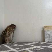 ヒメ日記 2026/06/14 02:18 投稿 うみ 京都デリヘル倶楽部FIRST