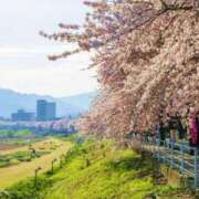 ヒメ日記 2026/03/30 20:03 投稿 さゆり モアグループ春日部人妻城