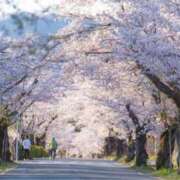 ヒメ日記 2026/04/02 16:33 投稿 さゆり モアグループ春日部人妻城