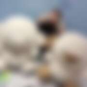 ヒメ日記 2026/01/13 23:52 投稿 神崎ゆま 五反田オナクラ ちくキュンっ!学園