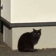 ヒメ日記 2026/02/17 13:13 投稿 りず エンジェルハンズ