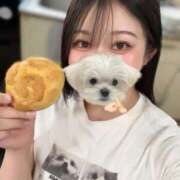 ヒメ日記 2025/08/09 17:19 投稿 MILK さくらん東京